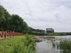 -丁香湖公园