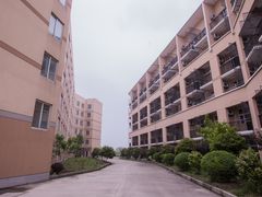 -中加枫华国际学校