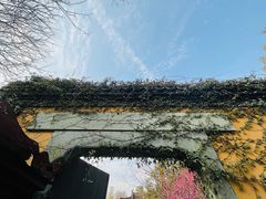 -慧因高丽寺