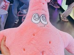 -PAWTOY爪e玩偶店(天兴罗斯福店)