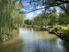 -上海滨江森林公园
