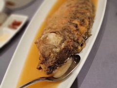 红烧黄河大鲤鱼-阿庄新豫菜(航海东路店)