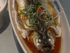 -翡翠江南(国贸商城店)