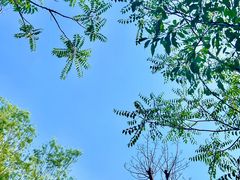 -野鸭湖国家湿地公园