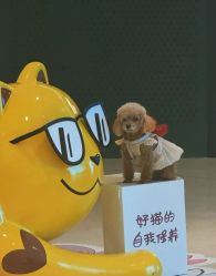 -丽妍雅集 Rubis SPA