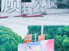 -顾村公园