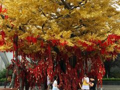 -济南方特东方神画