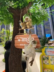 -IMON·HANSA潮玩玩偶毛绒玩具(通州万象汇店)