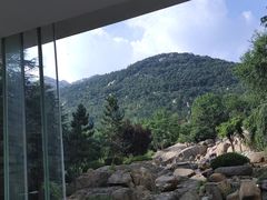 -泰安东尊华美达广场酒店(泰山景区店)