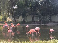 -石家庄市动物园