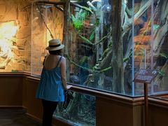 -帕帕拉兹宠物(亚洲旗舰店)