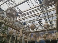 -院子餐厅·大锅菜·老杭帮(桥西直街店)