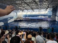 -秦皇岛乐岛海洋王国