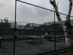 篮球场旁边的乒乓球台-四川大学(望江校区)