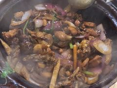 -胡须佬鸡煲四季火锅(龙珠大道店)