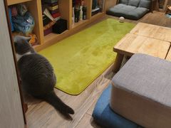 -解忧集市(北京路天河城店)