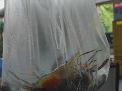 -光头佬室内钓虾场·烧烤·团建·亲子(中山八路店)