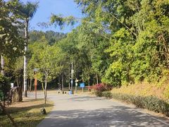 -田心森林公园