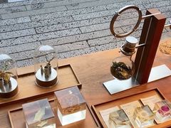 -雪绿茶博物馆