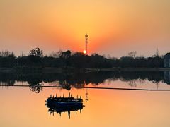 -上海长兴岛郊野公园