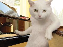 -万达影城(经区九龙城店)