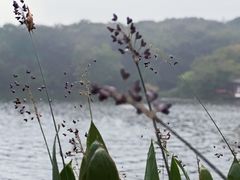-紫霞湖公园
