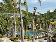 -日落吧·海景咖啡厅·餐酒吧·鸡尾酒·下午茶·乐队表演·浪漫夕阳·三亚文华东方酒店