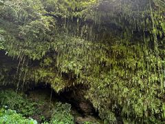 -海口火山口国家地质公园