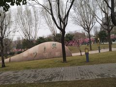 -唐城墙遗址公园