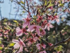 -东莞观音山旅游风景区