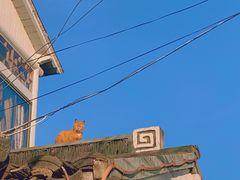 -喜洋洋蟹庄(阳澄湖店)