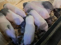 -昆明大悦城未来动物城(螺蛳湾中心店)