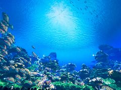 -海合安武汉极地海洋公园