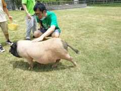 -前小桔亲子创意农场·草莓采摘·露营烧烤