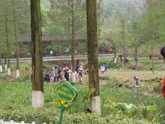 -重庆彩云湖湿地公园