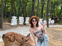 -南戴河国际娱乐中心