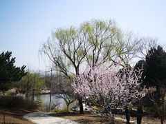 -北京西山国家森林公园