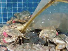 -宾朋海鲜特色美食餐厅·纯手工鲅鱼水饺(兴海路店)