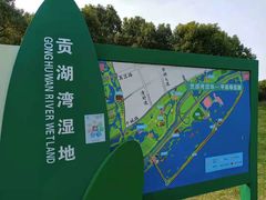 -贡湖湾湿地公园