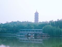 -三水森林公园