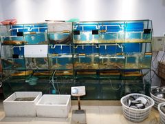 水产区-胖大嫂渔家排档·全海景餐厅(渔村店)