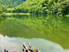 -千泷沟大瀑布旅游区