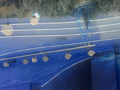 -湖锦酒楼·30年经典湖北菜(沌口店)