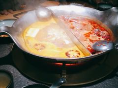 -湊湊火锅·茶憩(石家庄万象城店)