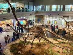 -自贡恐龙博物馆