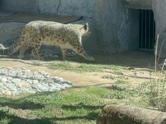 -青藏高原野生动物园