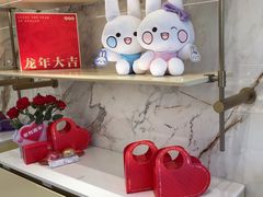 -GANSO元祖食品(沪青平店)