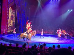 -珠海横琴长隆《卡卡虎奇遇记》