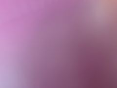 -东园小馆·早茶·淮扬小炒(印象汇店)