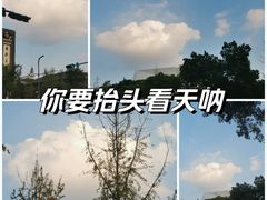 -四川大学(江安校区)